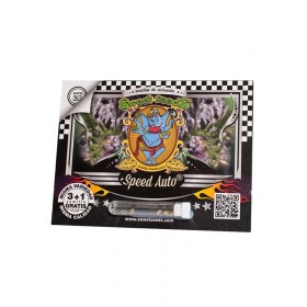 Speed Auto Sweet Seeds 3+1