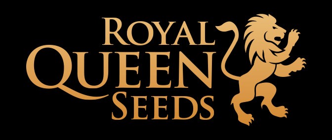 Royal Queen