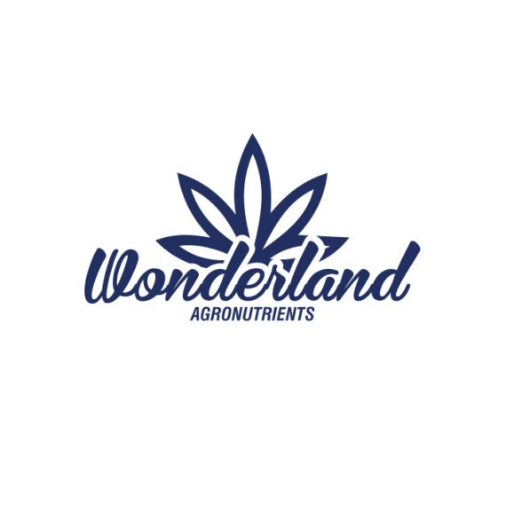 Wonderland