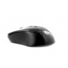 Mouse Inalambrico XTech Mod. XTM300