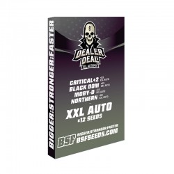 Dealer Deal XXL Automix BSF Seed x12