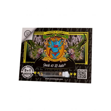 Jack 47 XL Auto Sweet Seeds