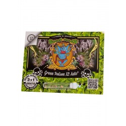 Green Poison XL Auto Sweet Seeds