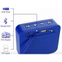 Parlante Bluetooth T&G 166 USB, TF CARD Color Azul