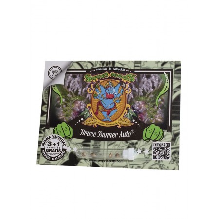 Bruce Banner Auto Sweet Seeds 3+1