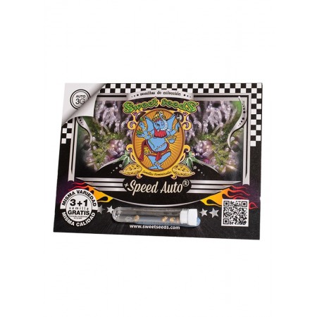 Speed Auto Sweet Seeds 3+1