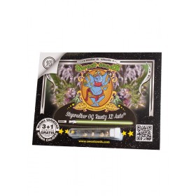 Skywalker OG Runtz XL Auto Sweet Seeds 3+1