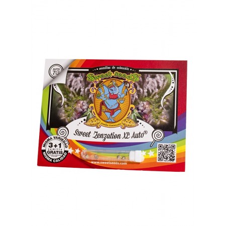 Sweet Zenzation XL Auto Sweet Seeds 3+1