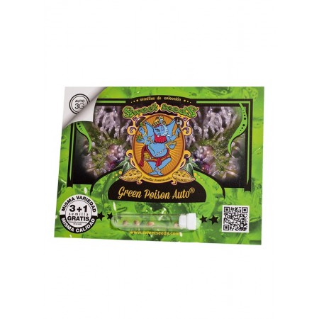 Green Poison Auto Sweet Seeds 3+1