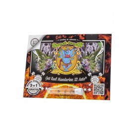 Jet Fuel Mandarine XL Auto Sweet Seeds 3+1