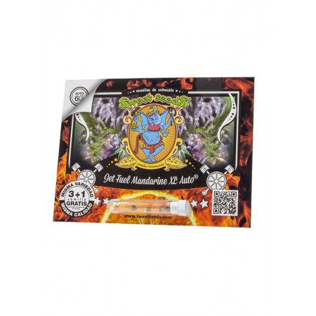 Jet Fuel Mandarine XL Auto Sweet Seeds 3+1